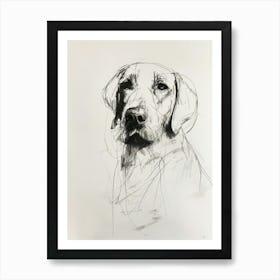 Golden Retriever Charcoal Line Art Print