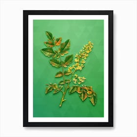 Vintage Golden Rain Tree Botanical Art on Classic Green n.0259 Art Print