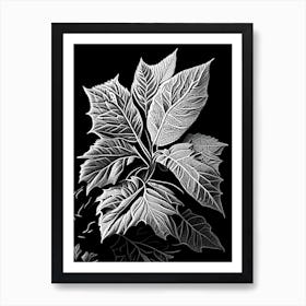 Walnuts Leaf Linocut Art Print