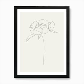 Peony Flower Line Drawing line art Art Print