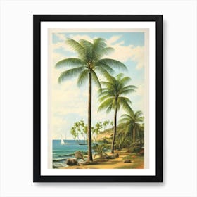 Shelly Beach Australia Vintage Art Print