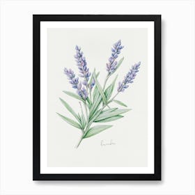 Lavender Herb Sprig - Textured Botanical Wall Print Set | Floral Collection Art Print Art Print