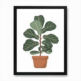 Fig Tree In A Pot Art Print