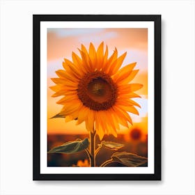 Sunflower At Sunset 2 Art Print