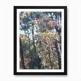 Rhododendrons In A Forest By Binod Dawadi Art Print