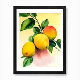 Mango Italian Watercolour fruit Art Print