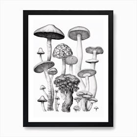 Mushroom Drawing B&W 5 Art Print