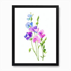 Sweet Pea Watercolour Flower Art Print