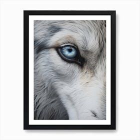 Tundra Wolf Eye 2 Art Print