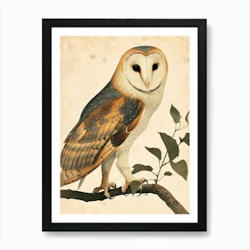 Barn Owl Vintage Illustration 2 Art Print