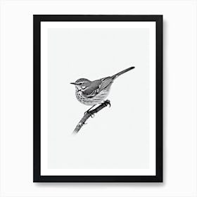 Hermit Thrush B&W Pencil Drawing 2 Bird Art Print