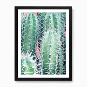 Cactus Up Close In Art Print