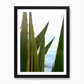Agave and the Blue Sea // Ibiza Nature & Travel Photography Art Print