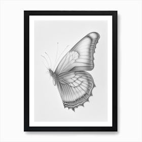 Butterfly Outline Greyscale Sketch 2 Art Print