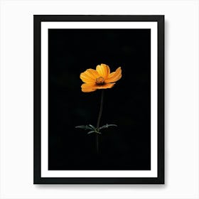 Single Flower 9 Art Print