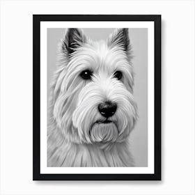 West Highland White Terrier B&W Pencil Dog Art Print