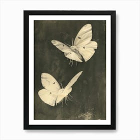 Two White Butterflies Art Print