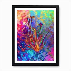 Yellow Eyed Grass Botanical in Acid Neon Pink Green and Blue n.0309 Art Print