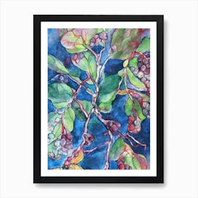 Salal Berry Classic Fruit Art Print