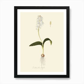 Lily Of The Valley 44 Art Print