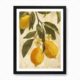 Lemons On A Branch 6 Art Print