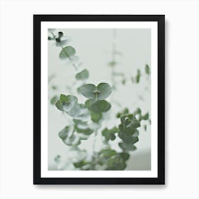 Eucalyptus II Greenery I in Art Print