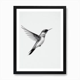 Swallow B&W Pencil Drawing 2 Bird Art Print