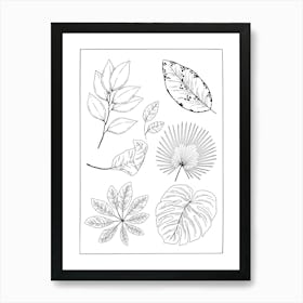 Tropical Leaves 11 Art Print