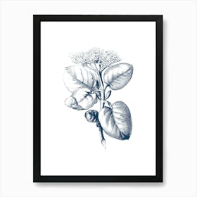 Blue Flower Print 2 Art Print