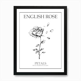 English Rose Petals Line Drawing 4 Poster Art Print