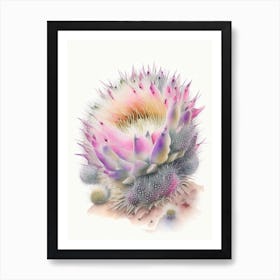 Hedgehog Cactus Pastel Watercolour Art Print