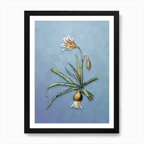 Vintage Amaryllis Broussonetii Botanical Art on Summer Song Blue Art Print