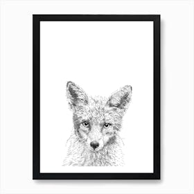 Fox Animal Print Art Print