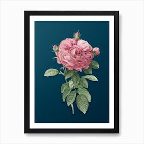 Vintage Giant French Rose Botanical Art on Teal Blue n.0608 Art Print