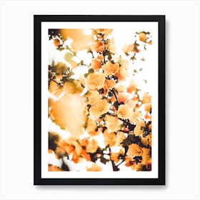 Golden Flower Blossoms Art Print