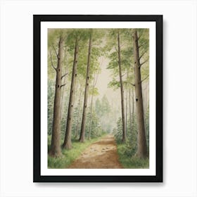 Path Through The Woods 4 Art Print