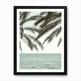 Palm Trees by the Beach_2287046 Art Print