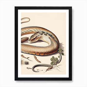 Rattlesnake 1 Vintage Art Print