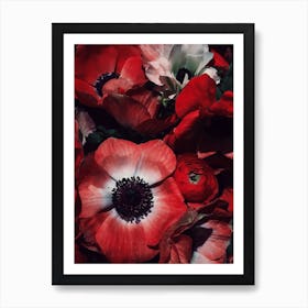 Red Burst Art Print