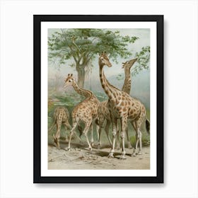 Vintage Brehm 1 Giraffe Art Print