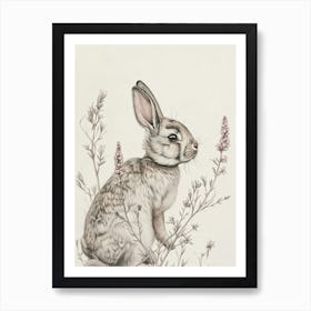 Satin Rabbit Drawing 1 Art Print