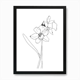 Daffodils Minimalist Line Art Monoline Illustration Art Print