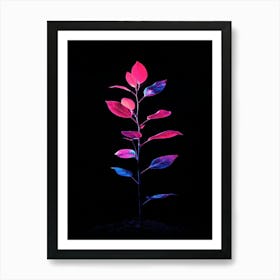 Plant On A Black Background 1 Art Print