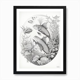 Doitsu Kohaku Koi Fish Haeckel Style Illustastration Art Print