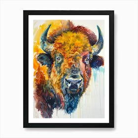 Buffalo Colourful Watercolour 1 Art Print