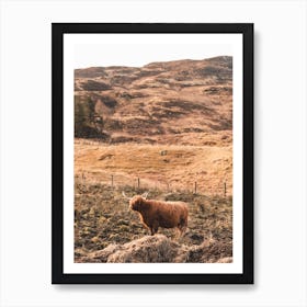 Highland Cow Art Print