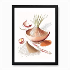 Onion Powder Spices And Herbs Pencil Illustration 1 Art Print