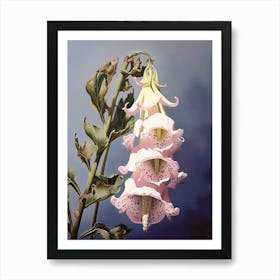 Floral Illustration Foxglove 2 Art Print