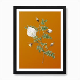 Vintage Silver Flowered Hispid Rose Botanical on Sunset Orange n.0527 Art Print