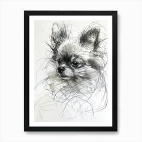 Pomeranian Dog Charcoal Line 1 Art Print